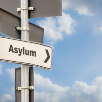 Asylum3